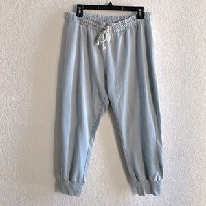 Joe’s Jeans Cropped Joggers Baby Blue Womens Large